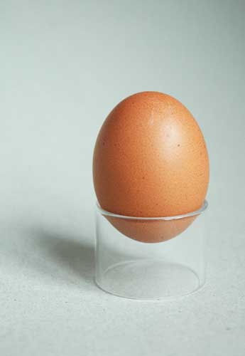 FLYING-EGG